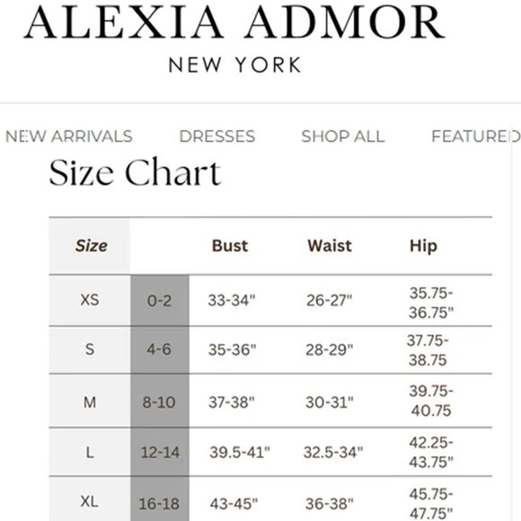 ALEXIA ADMOR "Tala" Wrap Maxi Dress NEW WITH TAGS! Size 12 - Picture 9 of 9